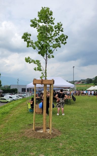 Plantation énergétique 70 ans club de foot de Chindrieux par Florian Journet