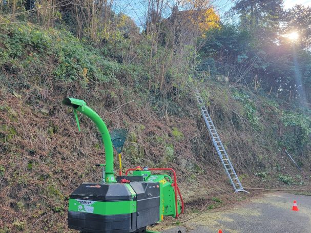 Débroussaillage Broyage Service complet entretien espaces verts Chindrieux